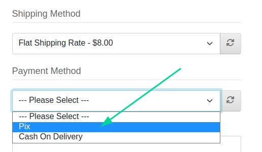 Selecionando Pix como método de pagamento